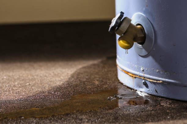 Best Water damage restoration experts  in Mar Mac, NC