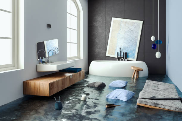 Best Professional water damage repair  in Mar Mac, NC