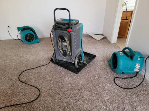 Best Water damage restoration near me  in Mar Mac, NC