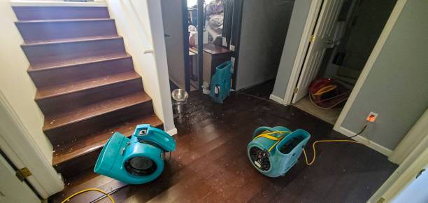 Best Flood damage cleanup  in Mar Mac, NC