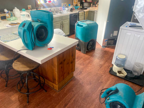 Best 24-hour water damage restoration  in Mar Mac, NC