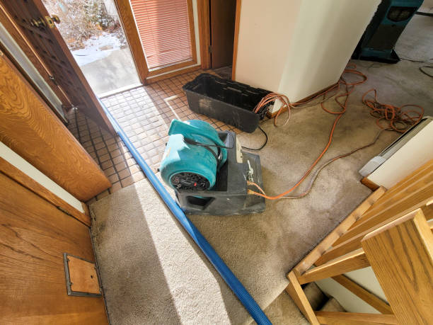 Best Water damage repair service  in Mar Mac, NC