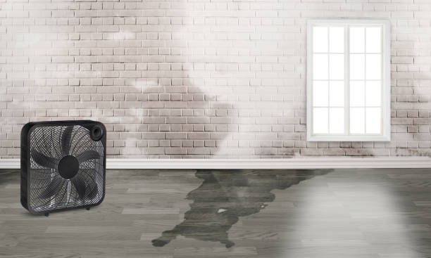 Mar Mac, NC Water damage restoration Company
